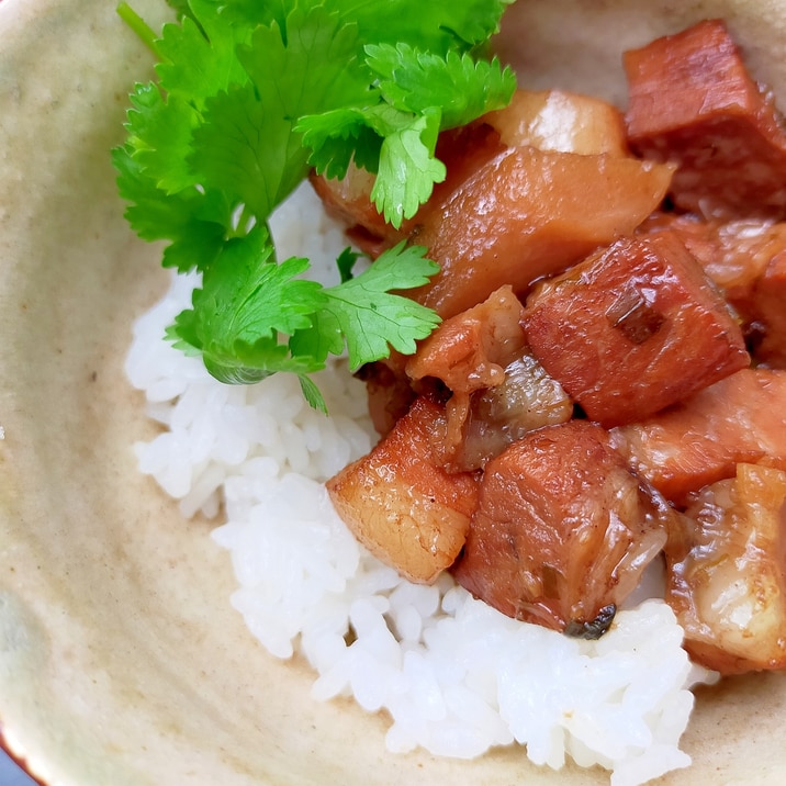 圧力鍋で魯肉飯